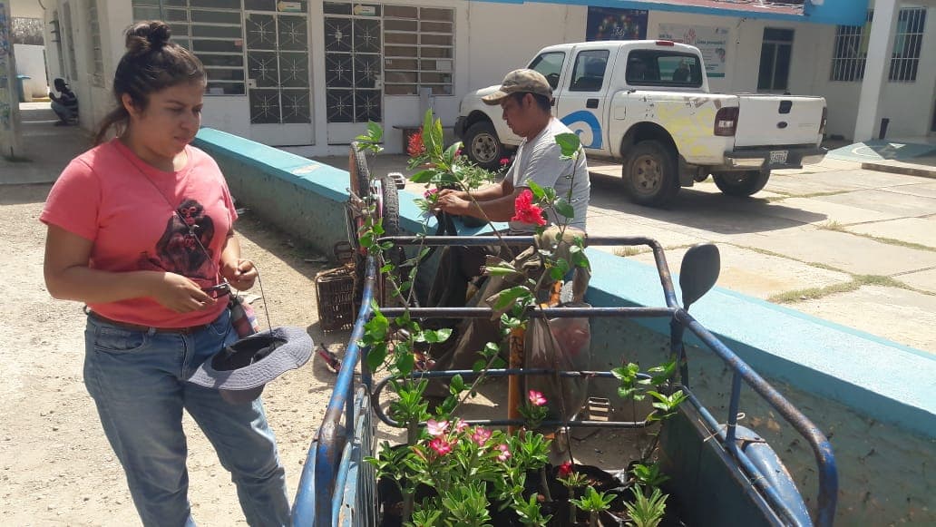 Ingeniera prefirió poner un vivero que trabajar en Banco Azteca
