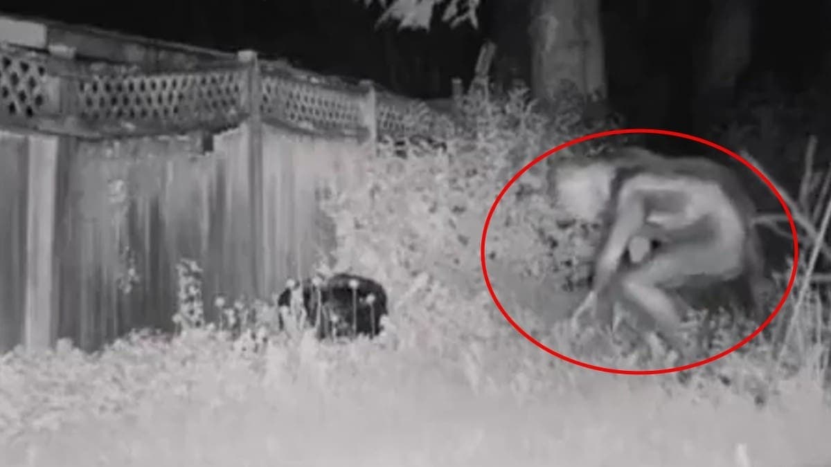 VIDEO: Familia capta a supuesto "alien" en el patio de su casa en Las Vegas