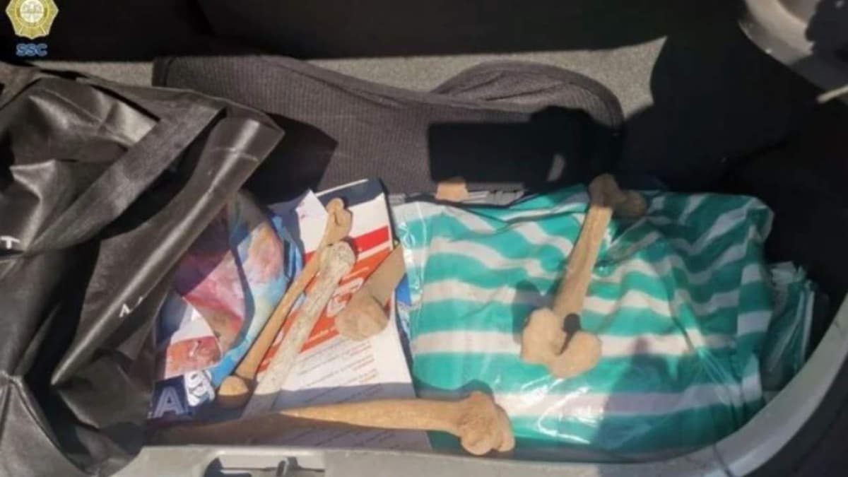 Detienen a mujeres que robaron huesos de un panteón en CDMX para una "bruja"