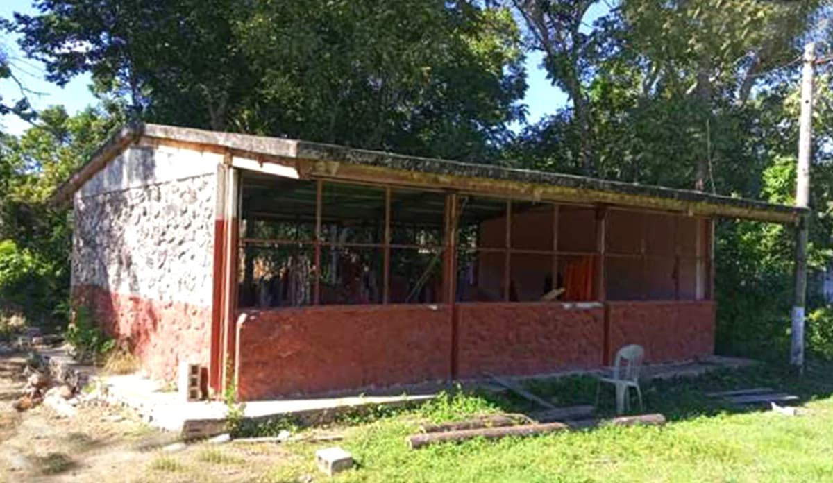 Niños de la Zona Maya de Quintana Roo deben caminar más de tres kilómetros para llegar a su escuela, que queda en Yucatán