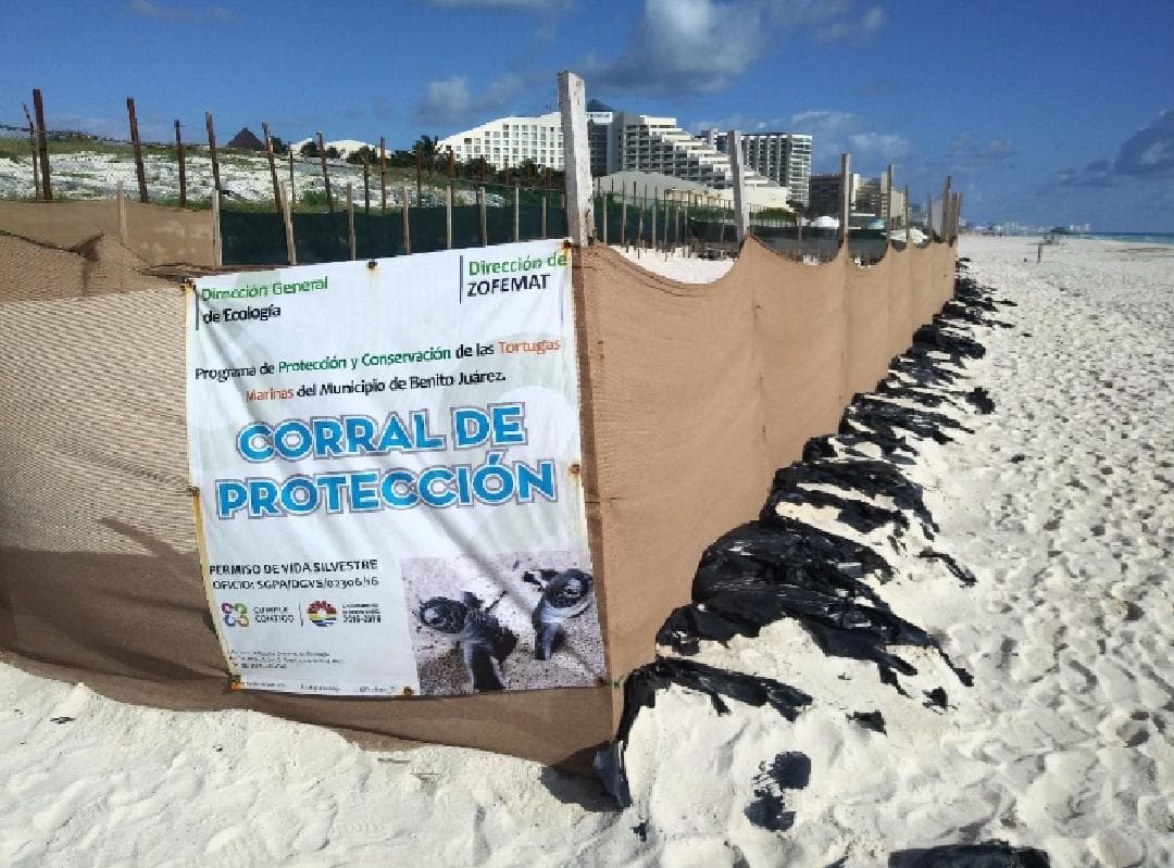 Obstruye barda de hotel Gran Solaris acceso al mar de El Mirador en Cancún