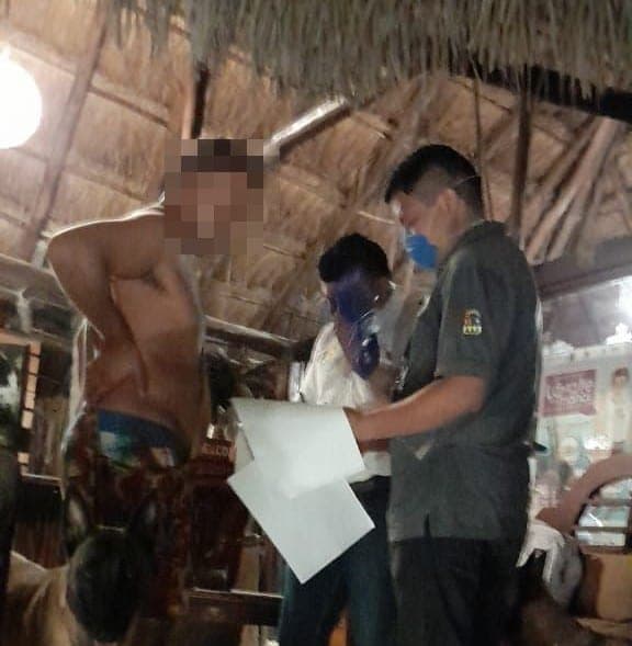 Inspeccionan hotel de Tulum por denuncia de maltrato a burro, no encontraron al animal