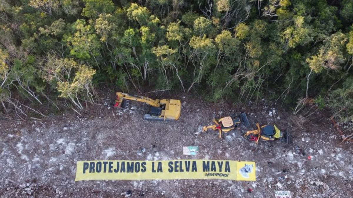 FOTOS: Activistas de Greenpeace se encadenan a maquinaria del Tren Maya para impedir devastación
