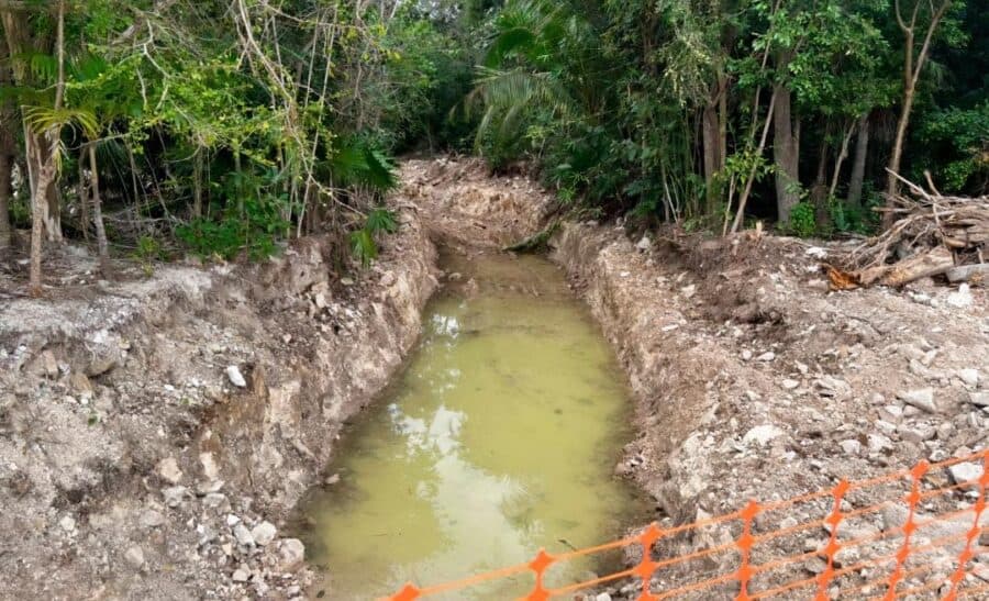 Conceden suspensión definitiva contra "Perfect Day", obra de Royal Caribbean en Mahahual, Quintana Roo