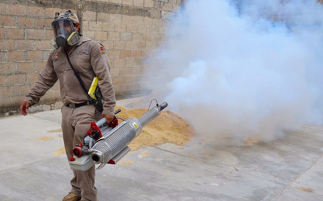 Anuncian calendario de fumigación para los municipios de Quintana Roo
