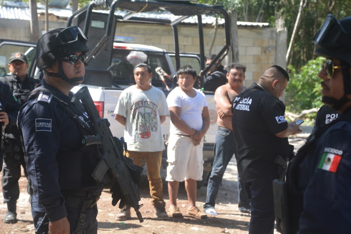 Hallan ocelote y armas en desalojo de 10 hectáreas en Playa del Carmen