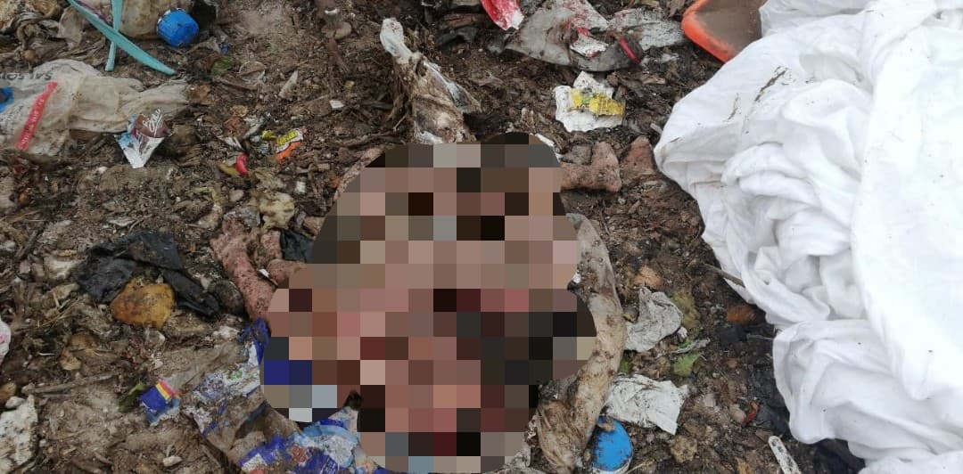 Bebé viajó en camión de basura hasta el relleno de Playa del Carmen