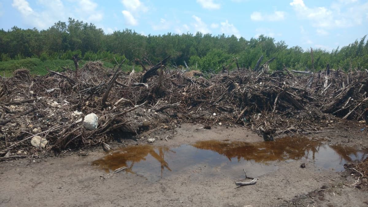 Obliga juez a FGR a compartir investigación contra El Cid