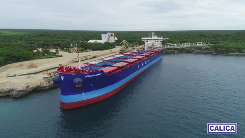 Demanda de CALICA ante CIADI es una cortina de humo para devastar la selva: Chano Toledo