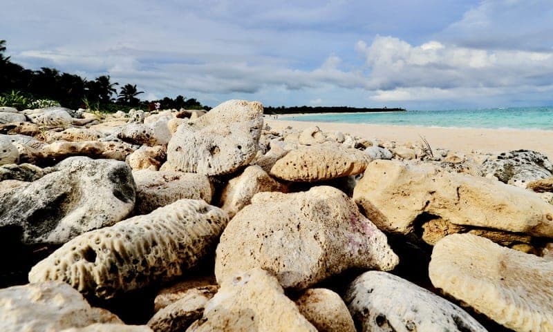 Reabre al público Xcacel-Xcacelito tras 210 días cerrado