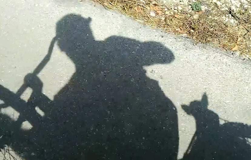 'Patrulla Ciudadana' y el perrito guardián 'Totto', son vecinos unidos que cuidan a playenses