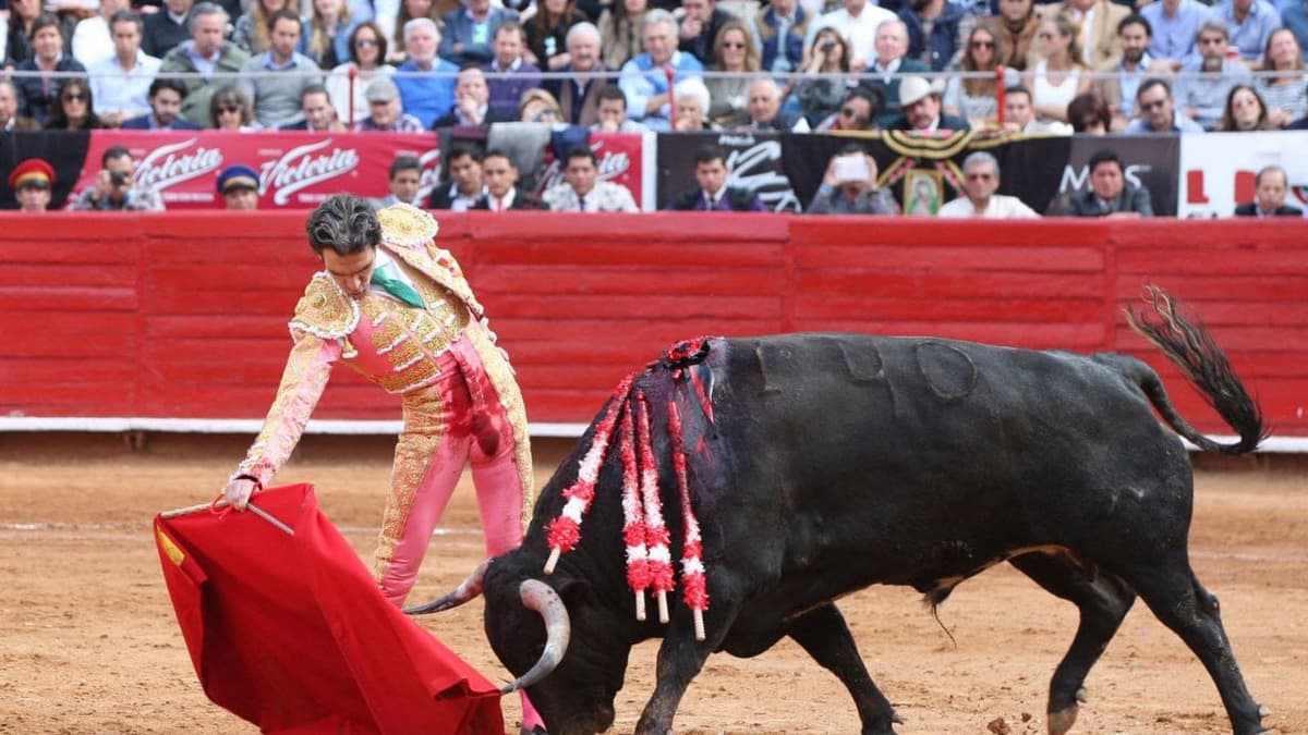 Corrida de toros: Presentan iniciativa de hasta 5 años de cárcel para organizadores y asistentes en México