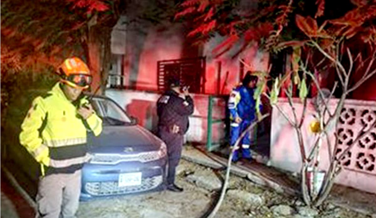 Mueren abuelita y sus tres perros en un incendio en su casa, en Nuevo León