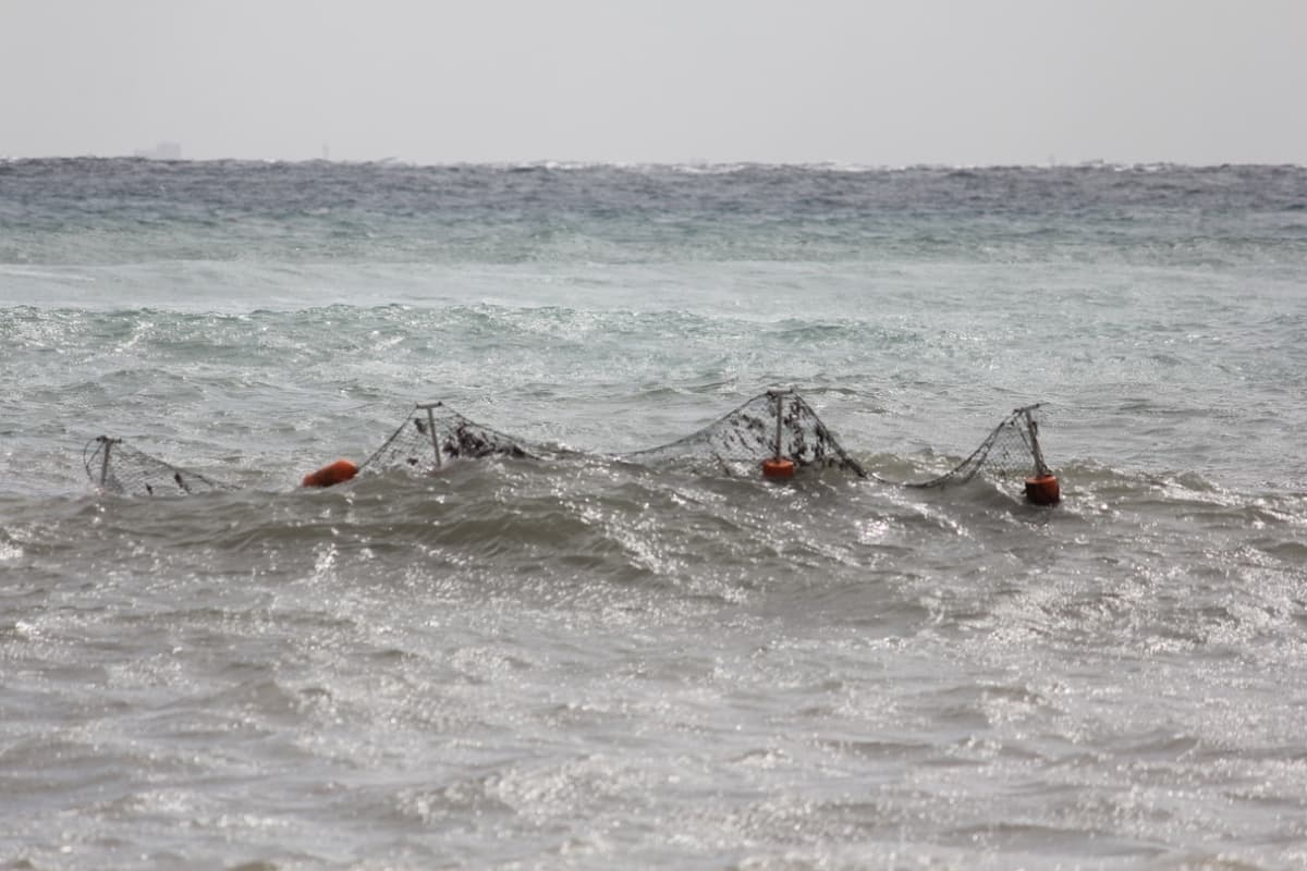 Oleaje resultó la "prueba de fuergo" para barreras antisargazo