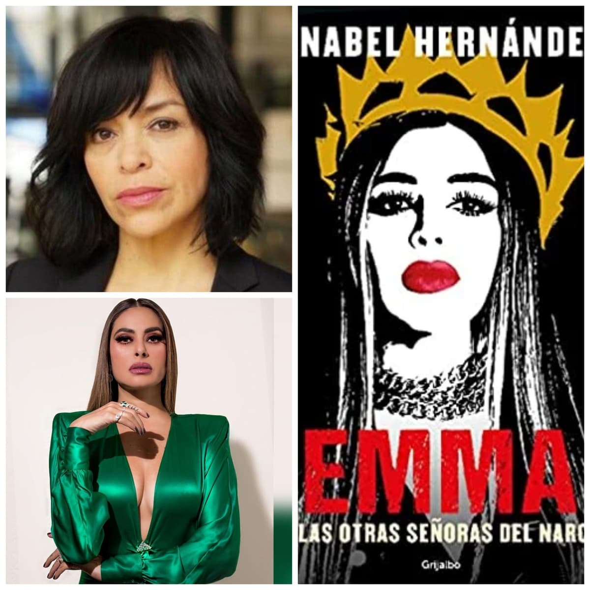 Anabel Hernández sostiene lo escrito en su libro “Emma y las otras señoras del narco”