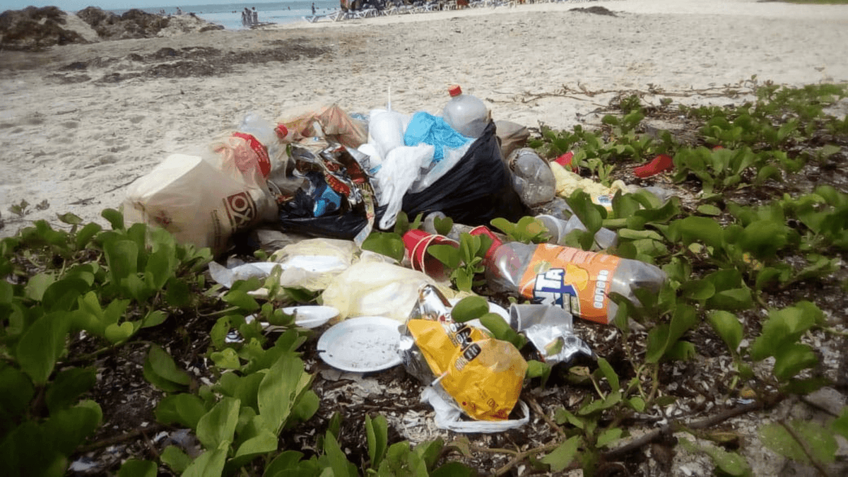 Tienditas y Pymes en Q.Roo serían los más afectados por decreto de uso de envases plásticos no retornables