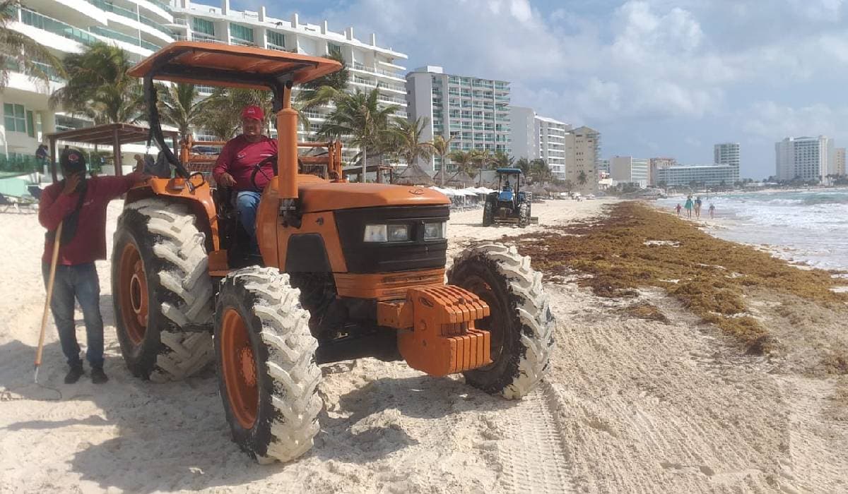 Más de mil 600 toneladas de sargazo han sido recolectadas en Cancún en lo que va del año