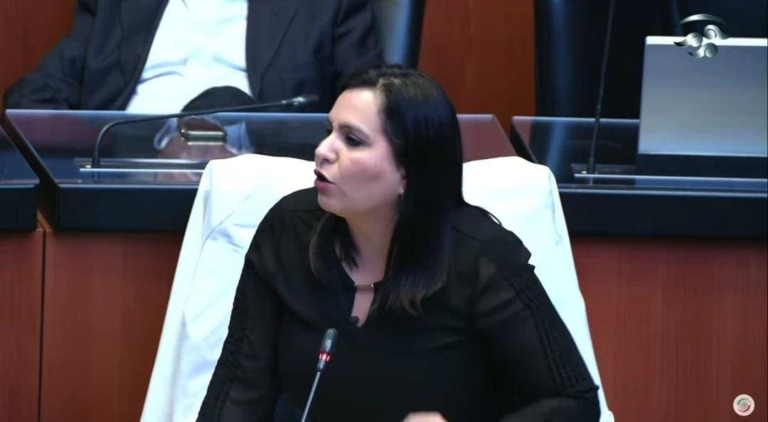 Desde el Senado, exige Mayuli Martínez que se cuide el agua, recurso afectado por las obras del Tren Maya
