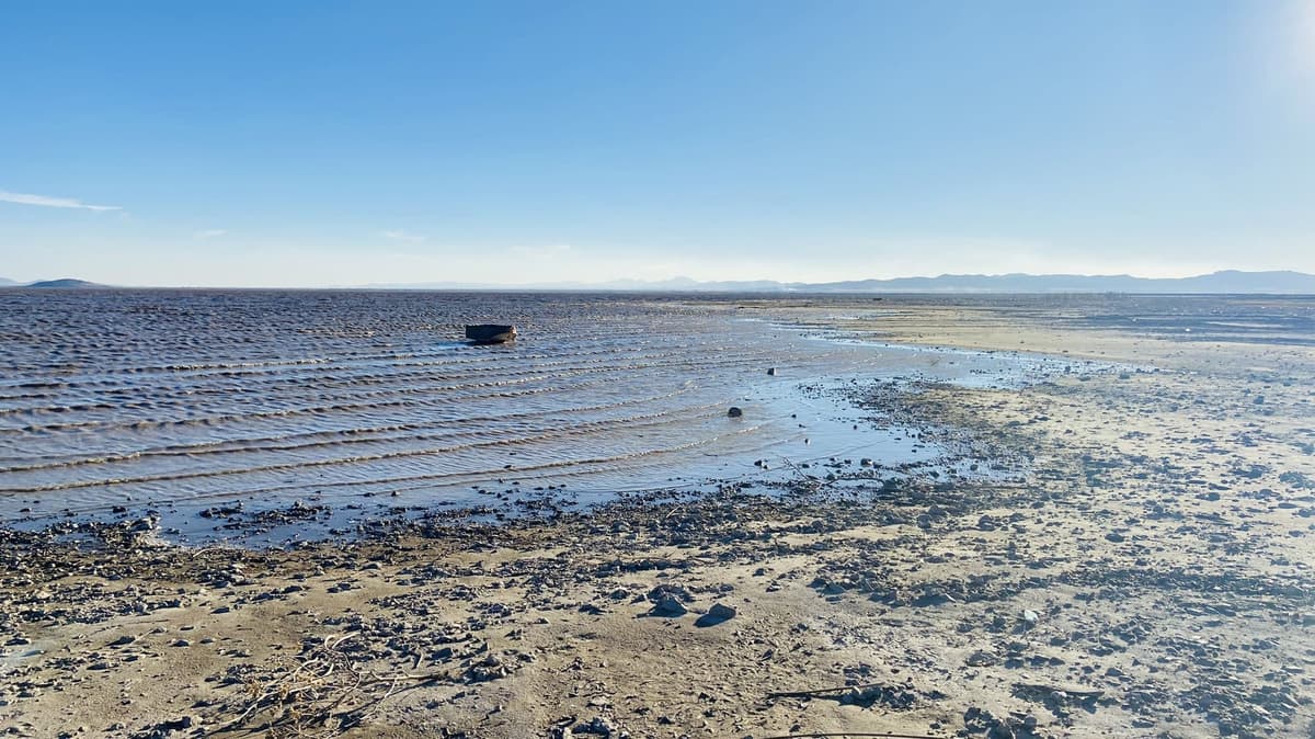 Mueren miles de peces de la Laguna de Bustillos por la intensa sequía en Chihuahua
