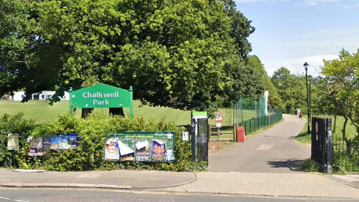 Hospitalizan a cinco niños tras la caída de un árbol en un parque Inglaterra