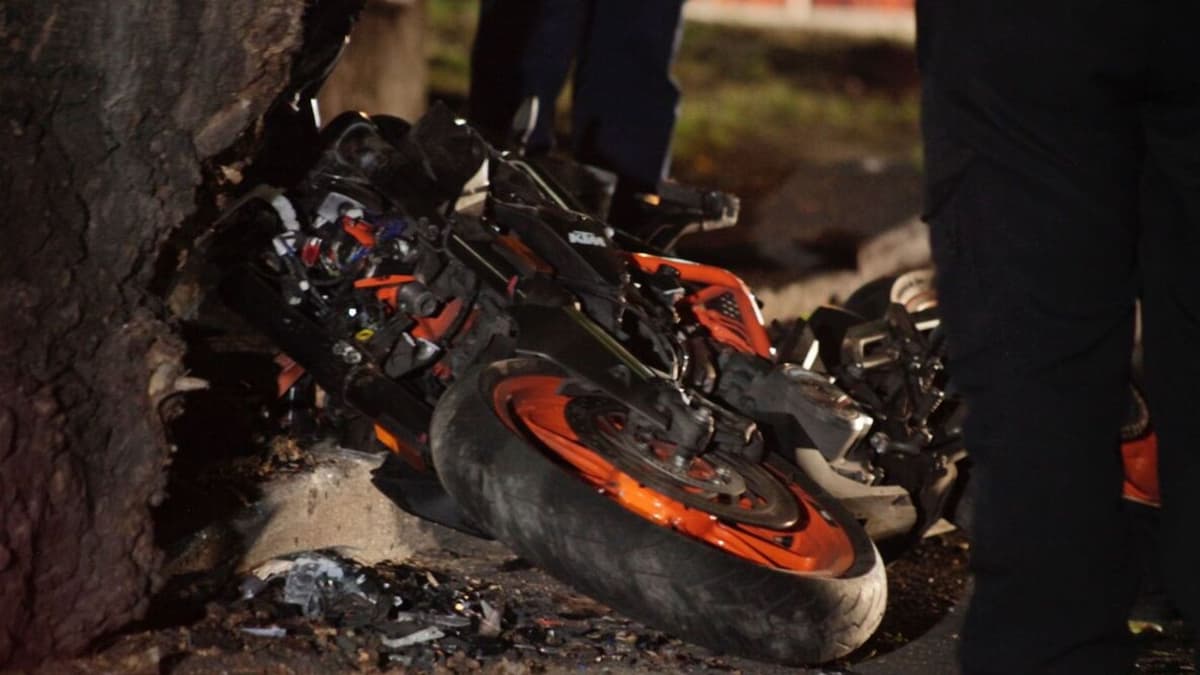 Mujer motociclista se impacta contra un árbol y pierde la vida frente al Palacio de los Deportes en CDMX